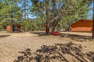 2029 Moccasin Cir, Overgaard, AZ 85933 - Photo 19