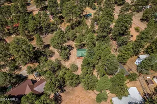 2029 Moccasin Cir, Overgaard, AZ 85933 - Photo 27