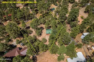 2029 Moccasin Cir, Overgaard, AZ 85933 - Photo 23