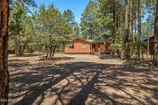 2029 Moccasin Cir, Overgaard, AZ 85933 - Photo 3