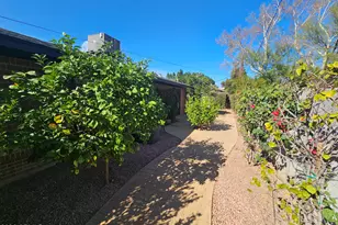 722 W Solano Dr, Phoenix, AZ 85013 - Photo 51