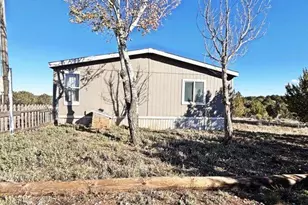 1595 Bourdon Ranch Rd, Show Low, AZ 85901 - Photo 39