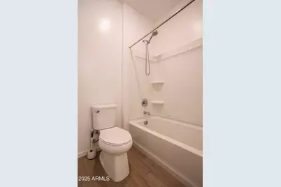 4368 N Pioneer Drive, Litchfield Park, AZ 85340 - Photo 53