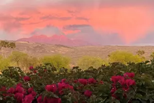 26223 N Loredo Ln, Rio Verde, AZ 85263 - Photo 37