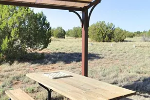 12 County Rd N8543 --, Concho, AZ 85924 - Photo 69