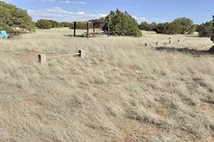 12 County Rd N8543 --, Concho, AZ 85924 - Photo 65