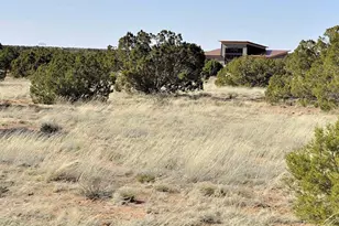 12 County Rd N8543 --, Concho, AZ 85924 - Photo 77