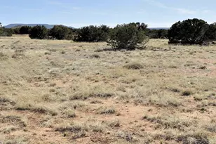12 County Rd N8543 --, Concho, AZ 85924 - Photo 63