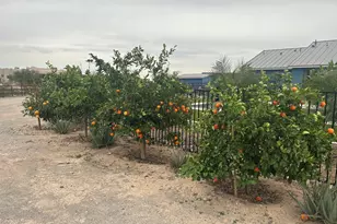 11224 W Tether Trail W, Peoria, AZ 85383 - Photo 23