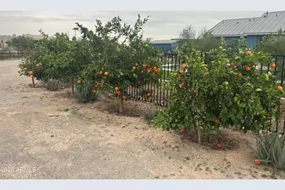 11224 W Tether Trail W, Peoria, AZ 85383 - Photo 29