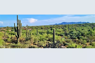 35636 N 142nd Place, Scottsdale, AZ 85262 - Photo 101