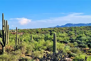 35636 N 142nd Pl, Scottsdale, AZ 85262 - Photo 101