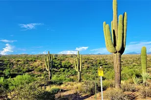 35636 N 142nd Pl, Scottsdale, AZ 85262 - Photo 105