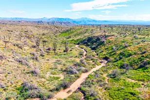 35636 N 142nd Pl, Scottsdale, AZ 85262 - Photo 91