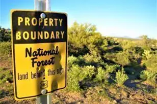 35636 N 142nd Pl, Scottsdale, AZ 85262 - Photo 19