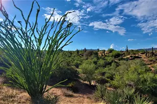 35636 N 142nd Pl, Scottsdale, AZ 85262 - Photo 99