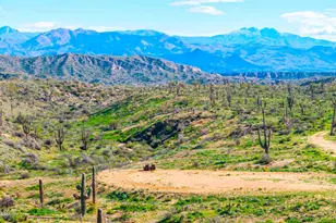 35636 N 142nd Pl, Scottsdale, AZ 85262 - Photo 85