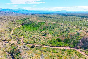 35636 N 142nd Pl, Scottsdale, AZ 85262 - Photo 89