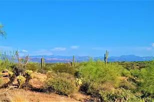 35636 N 142nd Pl, Scottsdale, AZ 85262 - Photo 99