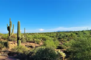 35636 N 142nd Pl, Scottsdale, AZ 85262 - Photo 97