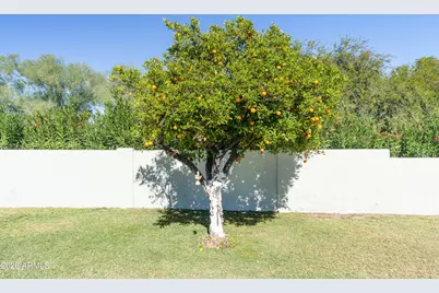 9131 N 48th Place, Paradise Valley, AZ 85253 - Photo 33