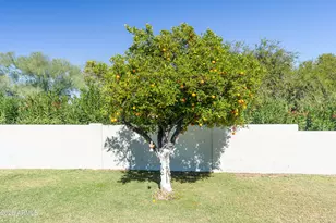 9131 N 48th Pl, Paradise Valley, AZ 85253 - Photo 33