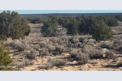 Lot 198 Red Sky Ranch -- #198, Saint Johns, AZ 85936 - Photo 13