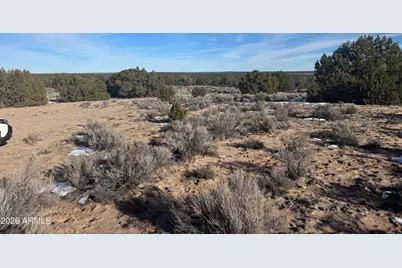 Lot 198 Red Sky Ranch -- #198, Saint Johns, AZ 85936 - Photo 5