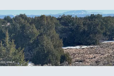 Lot 198 Red Sky Ranch -- #198, Saint Johns, AZ 85936 - Photo 3