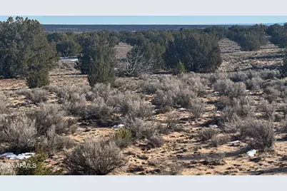 Lot 198 Red Sky Ranch -- #198, Saint Johns, AZ 85936 - Photo 11