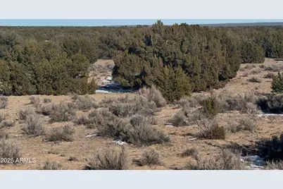 Lot 198 Red Sky Ranch -- #198, Saint Johns, AZ 85936 - Photo 7