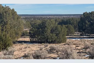 Lot 198 Red Sky Ranch -- #198, Saint Johns, AZ 85936 - Photo 9