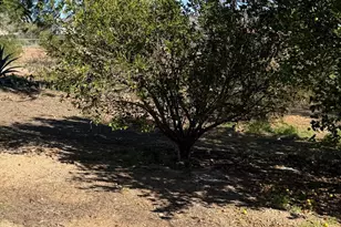 31637 N 169th Ave, Surprise, AZ 85387 - Photo 49