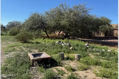 31637 N 169th Avenue, Surprise, AZ 85387 - Photo 51