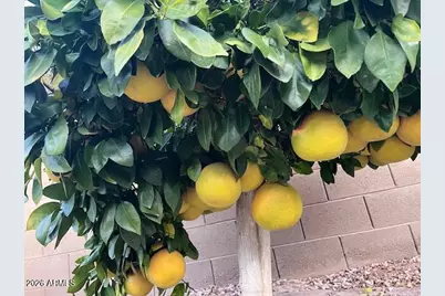 3770 E Iris Drive, Chandler, AZ 85286 - Photo 63