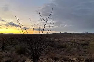 35439 W Carefree Hwy, Wickenburg, AZ 85390 - Photo 37