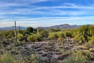 36601 N Mule Train Rd, Carefree, AZ 85377 - Photo 35