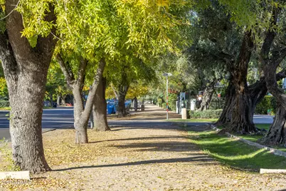 502 E Kaler Drive, Phoenix, AZ 85020 - Photo 51