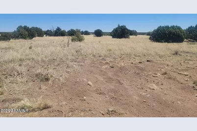 8430 Lake View Drive #79, Show Low, AZ 85901 - Photo 3