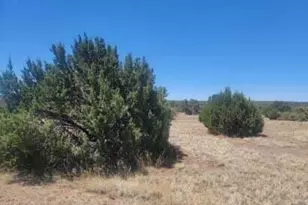 8435 Lake View Dr, Show Low, AZ 85901 - Photo 1