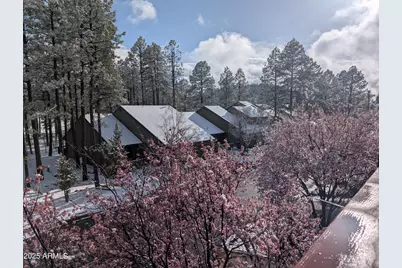 2358 E Rainbow Lane, Pinetop, AZ 85935 - Photo 49