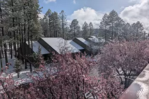 2358 E Rainbow Ln, Pinetop, AZ 85935 - Photo 49