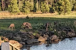 2358 E Rainbow Ln, Pinetop, AZ 85935 - Photo 47