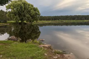 2358 E Rainbow Ln, Pinetop, AZ 85935 - Photo 43