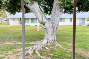 10135 W Bolivar Dr, Sun City, AZ 85351 - Photo 35