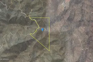 22000 N Cyclopic, White Hills, AZ 86445 - Photo 1