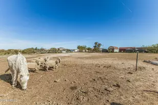 15806 W Hopi Dr, Casa Grande, AZ 85122 - Photo 19