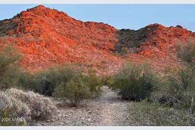 1401 E Puget Avenue #4, Phoenix, AZ 85020 - Photo 15