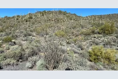 45Xxx N Cottonwood Canyon Road #-, Cave Creek, AZ 85331 - Photo 7