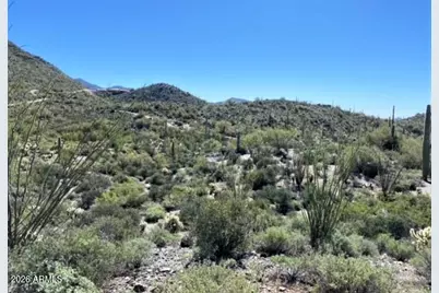 45Xxx N Cottonwood Canyon Road #-, Cave Creek, AZ 85331 - Photo 3